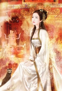 皇上的妃子娶过来
